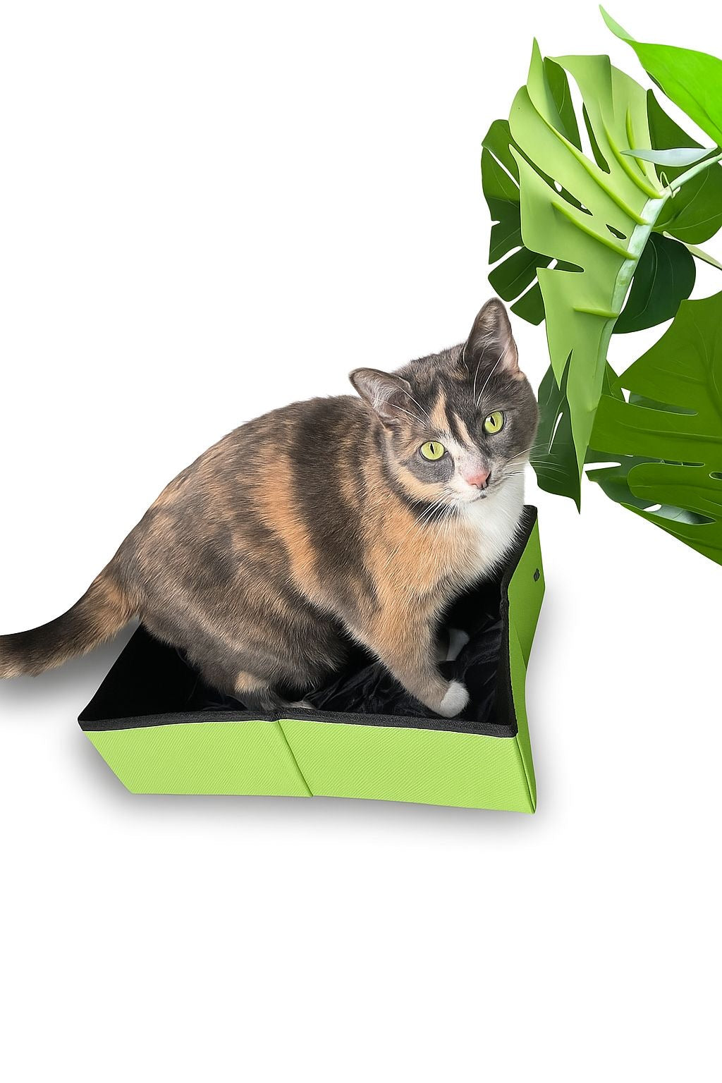 Leak-Proof Portable Cat Litter - Carrier Outdoor Collapsible
