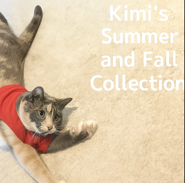 Kimi's Summer and Fall Selection 2025