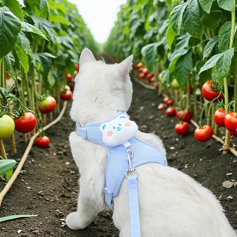 Cat Harness & Leash