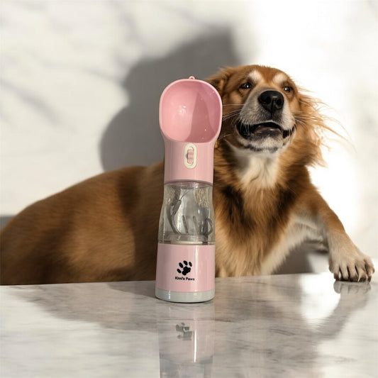 Modern Pet Bottle